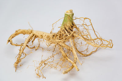 Unearthing the Power of Dry Roots: A Comprehensive Guide to Herbal Remedies