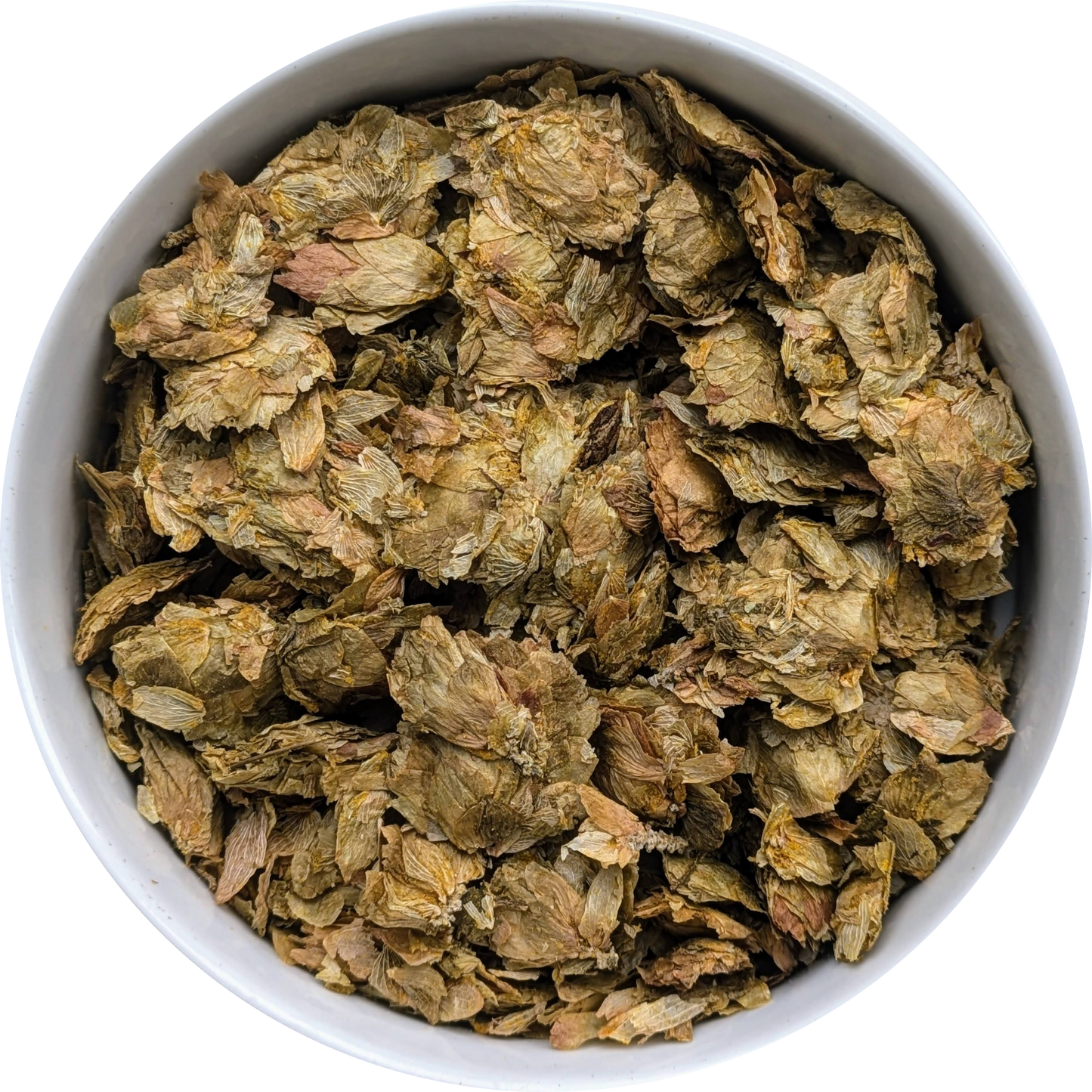 Dried hops strobile — pale green aromatic cones suitable for tea, dream sachets, ritual craft, and traditional use. Herbal Monkey