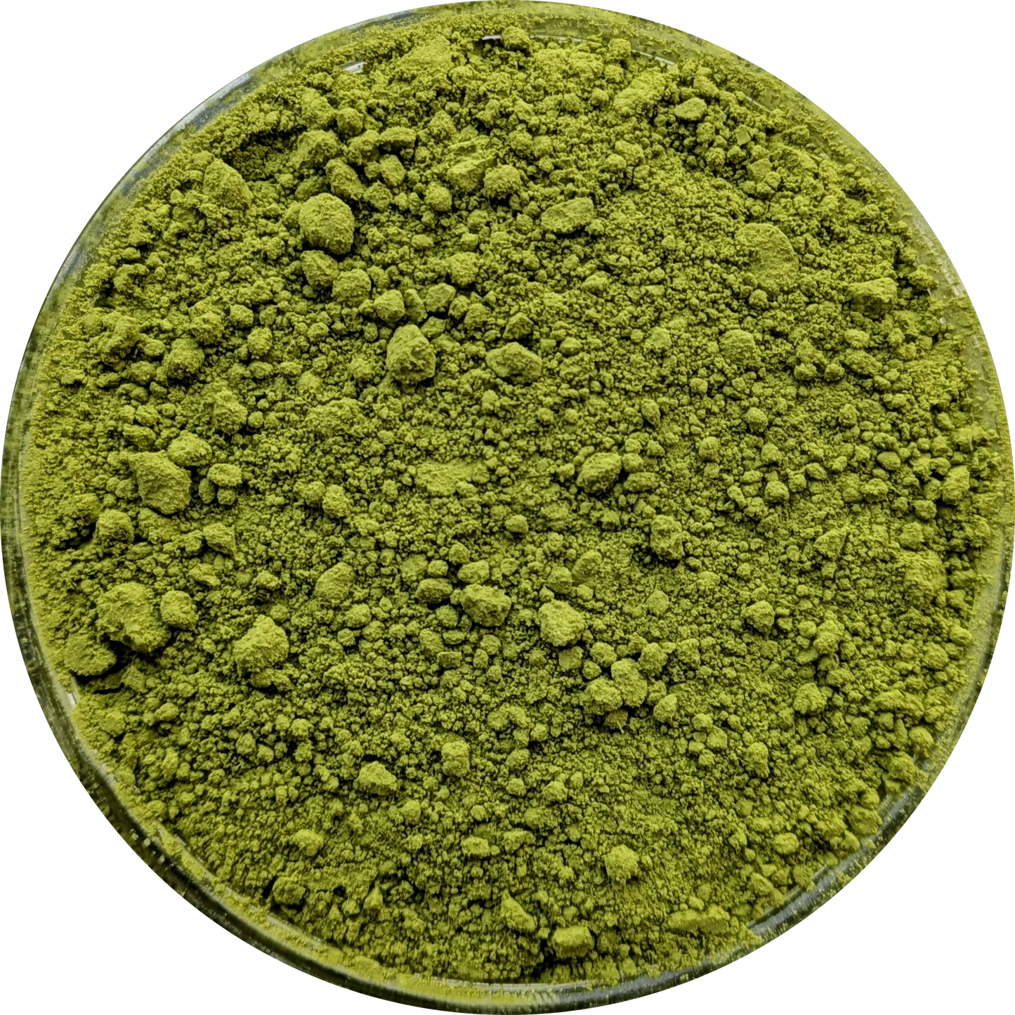 Finely milled Matcha powder for traditional tea preparation