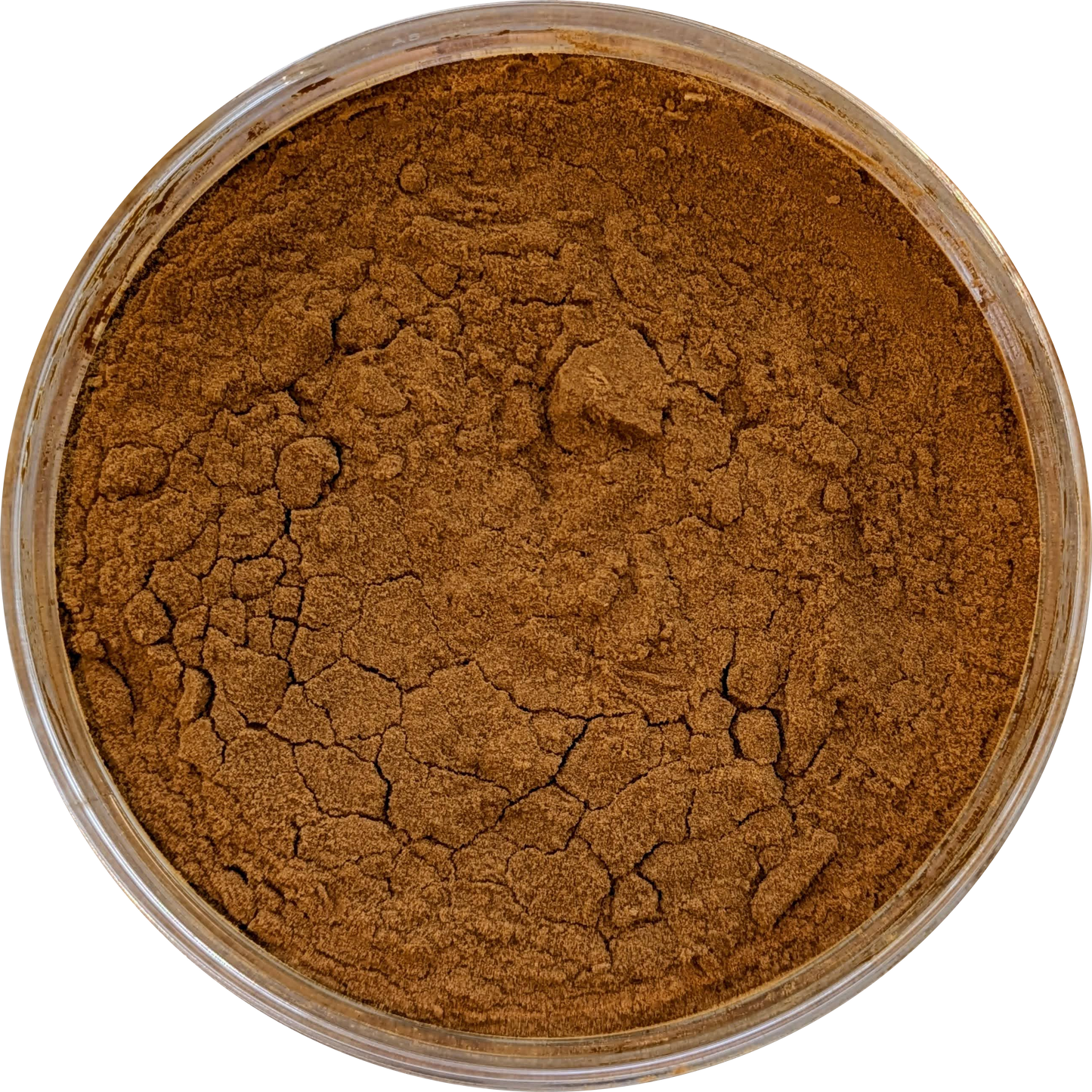 Chaga Mushroom Extract Powder – 30% Polysaccharides, 15:1 Dual Extract; wild-harvested Inonotus obliquus for immune support, antioxidant protection, and cellular vitality.