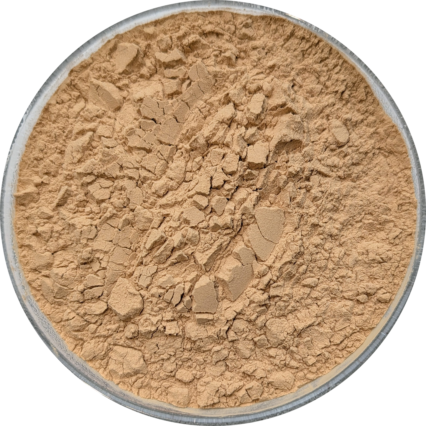 Ethically sourced Purslane extract displayed for nutritional and ceremonial practice