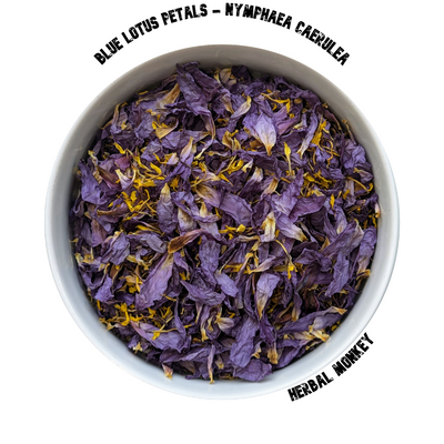 Whole Blue Lotus Flowers – Nymphaea Caerulea botanical for ceremonial use