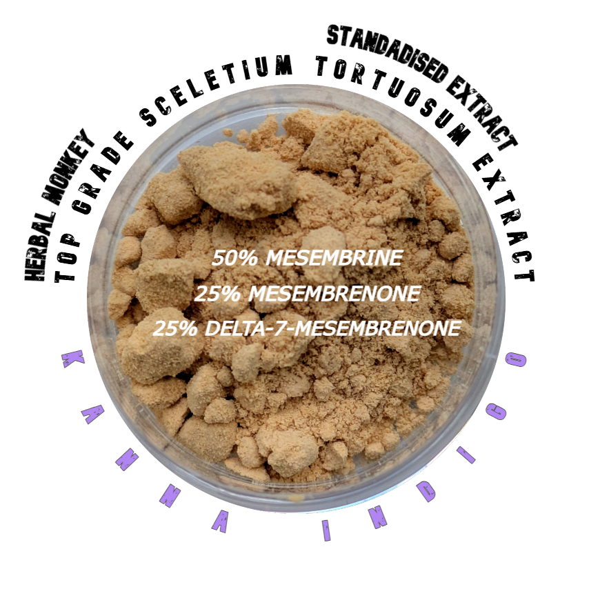Sceletium tortuosum Indigo extract prepared for non-consumptive ceremonial rituals