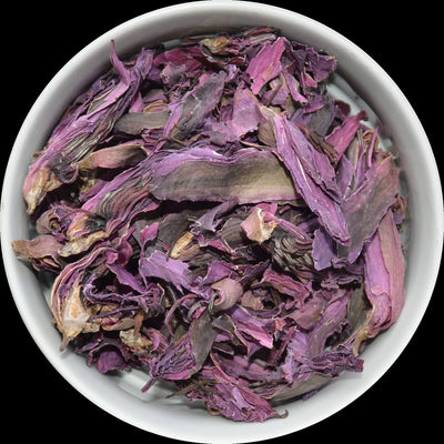 Red Lotus flowers – Nymphaea rubra cut blooms for ceremonial and spiritual use