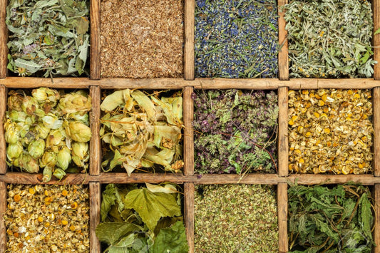 Discovering the Benefits of Dried Herbs