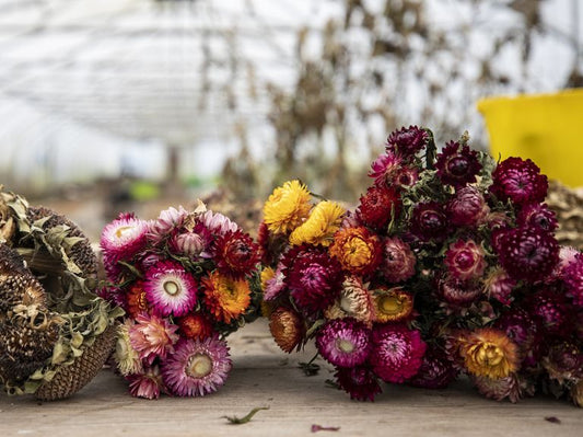 Dried Flowers : A Guide to Quality Sources and Buying Tips