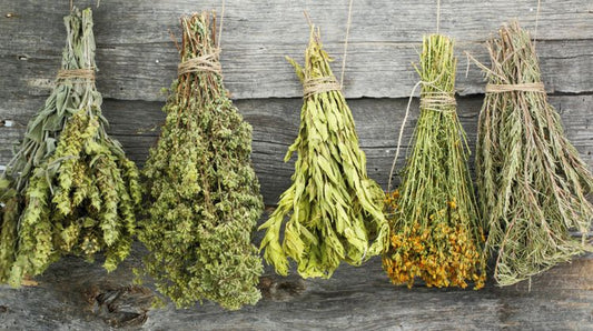 The Basics of Drying Herbs at Home: A Beginner's Guide