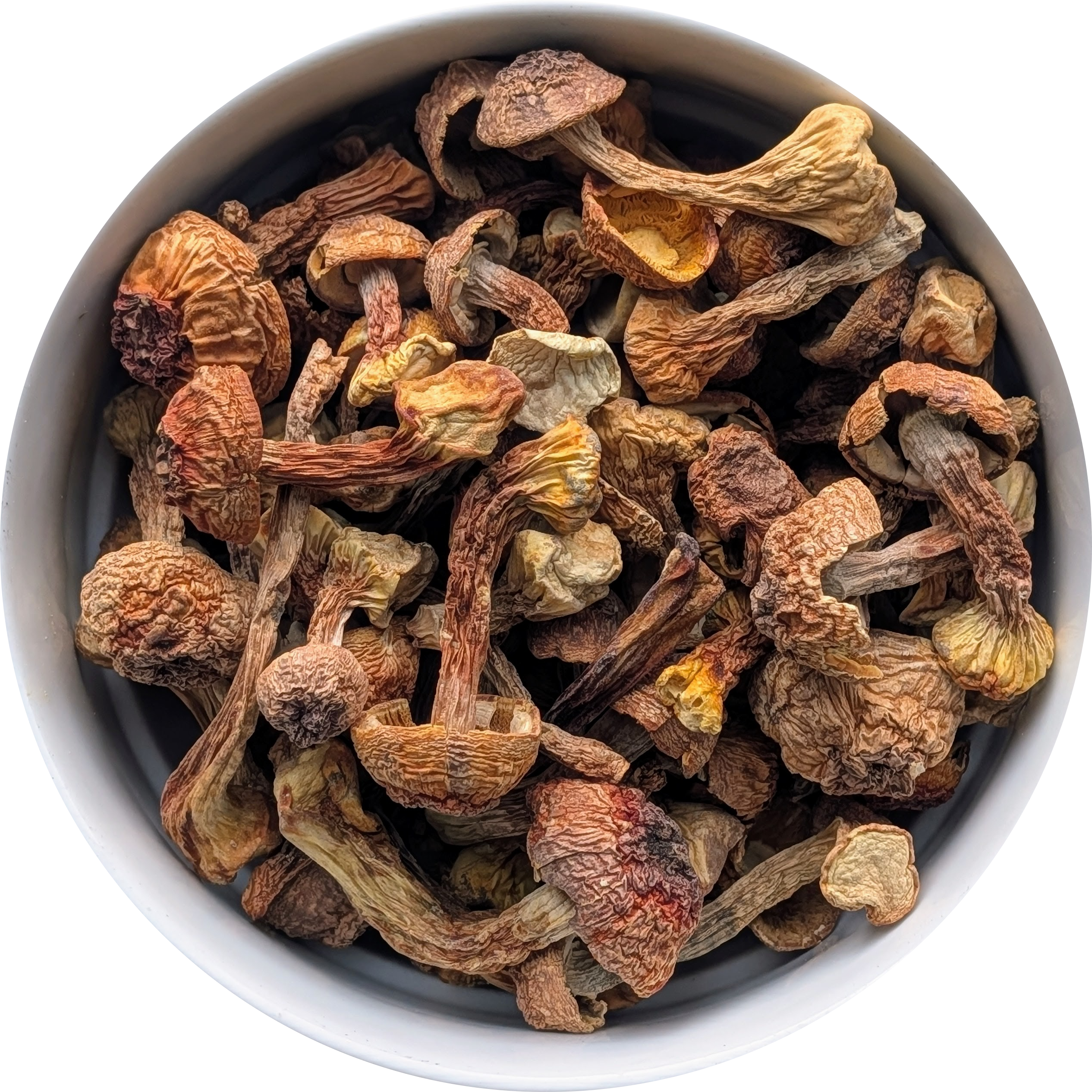 Mushrooms lead the way in the UK - Brief Overview Herbal Monkey