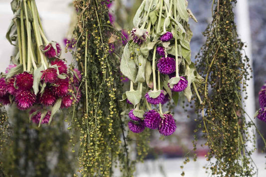 Mastering the Art: A Comprehensive Guide on How to Dry Flowers at Home