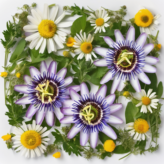 Passion Flower Herb & Chamomile Flowers