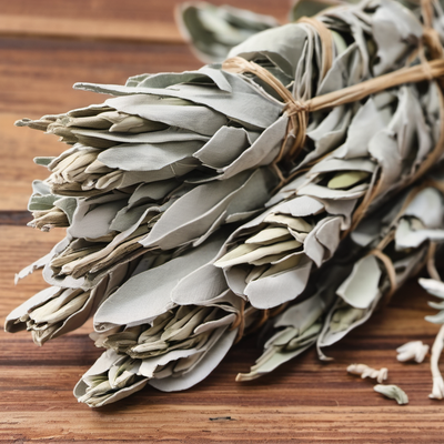 Californian White Sage Incense Sticks