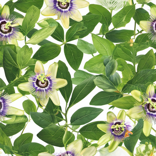 passion flower herb