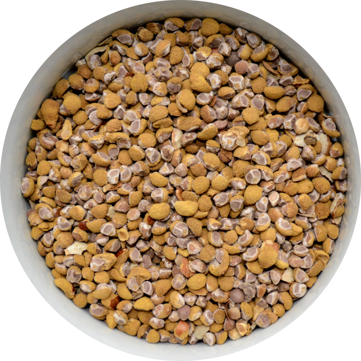 Exotic Seeds