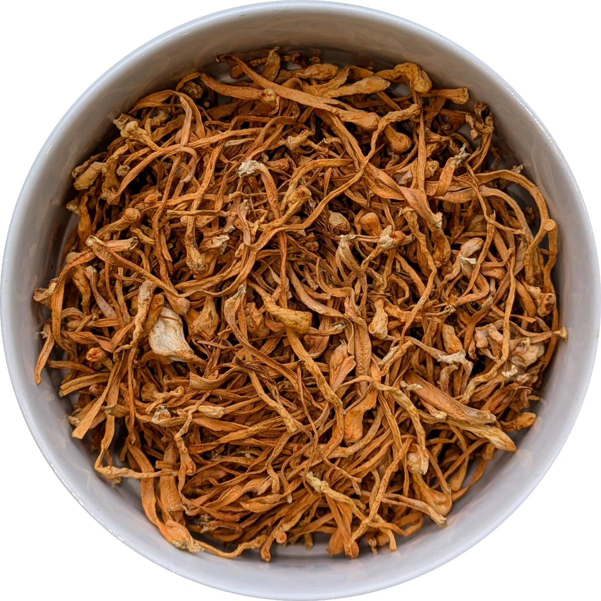 Cordyceps Mushrooms & Extracts