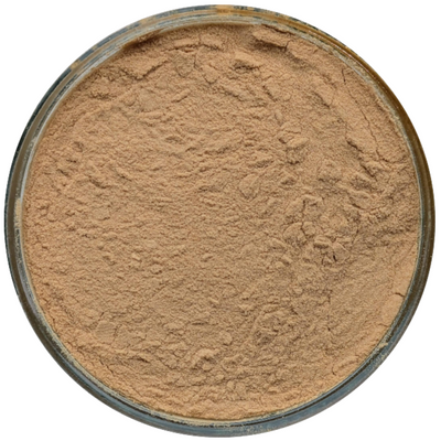 Medicinal Mushroom Extracts