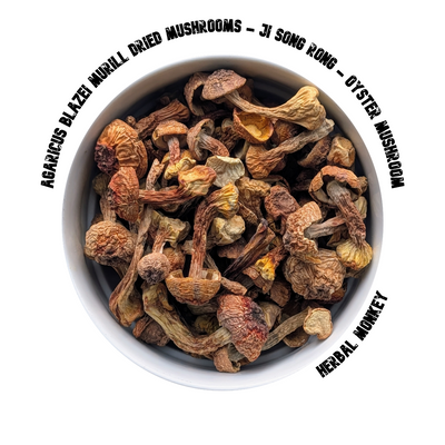 Agaricus Blazei Murill dried mushrooms – premium botanical suitable for consumption