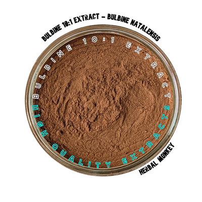 Bulbine natalensis 10:1 extract powder — fine light brown botanical powder suitable for human consumption and natural supplementation