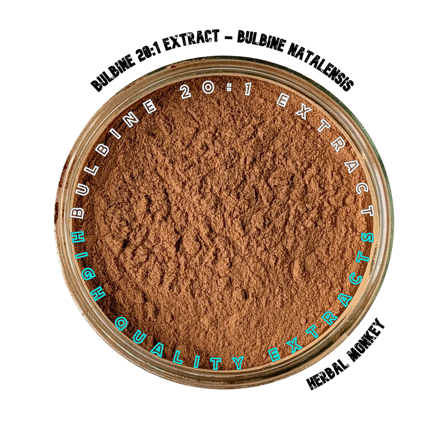 Bulbine natalensis 20:1 extract powder — fine light brown botanical powder suitable for human consumption and natural supplementation Herbal Monkey