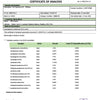 Peppermint CBD Oil