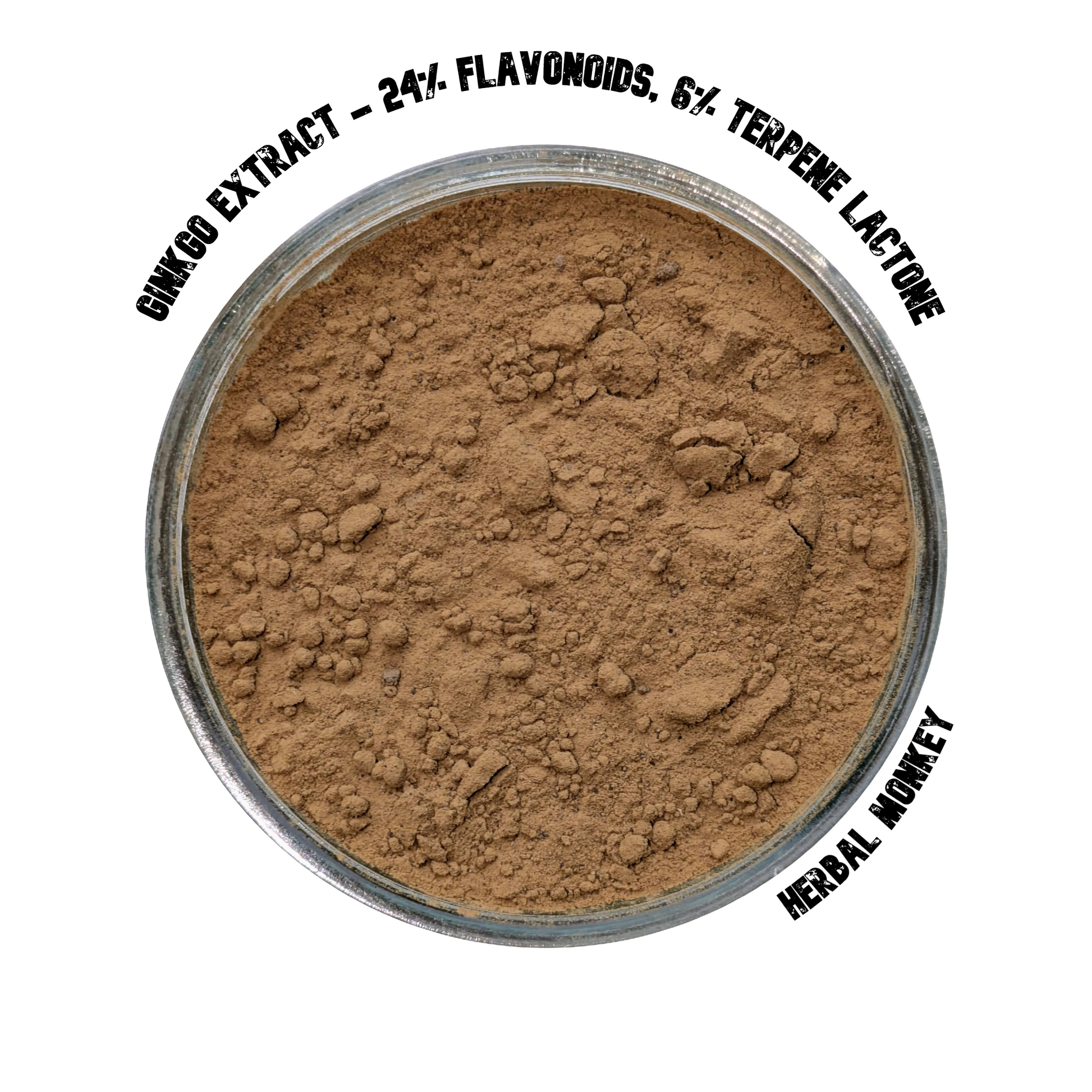 Ginkgo Biloba Extract Powder – 24% Flavonoids & 6% Terpene Lactones; premium botanical for cognitive clarity, antioxidant support, and circulatory balance.