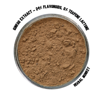 Ginkgo Biloba Extract Powder – 24% Flavonoids & 6% Terpene Lactones; premium botanical for cognitive clarity, antioxidant support, and circulatory balance.