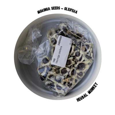 Moringa Seeds UK