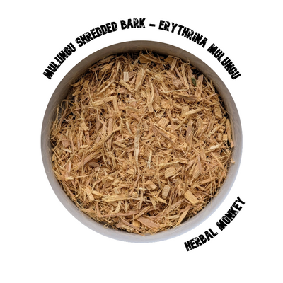 Shredded Mulungu Bark – dried Erythrina mulungu bark, loose-cut and pesticide-free, for ceremonial display and ethnobotanical collection