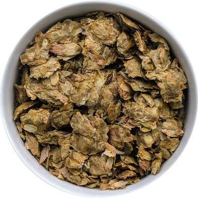 Dried hops strobile — pale green aromatic cones suitable for tea, dream sachets, ritual craft, and traditional use.