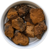 chaga mushrooms