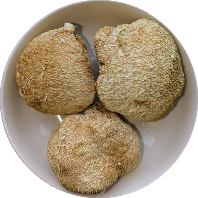 Hericium erinaceus whole mushrooms for soups and teas