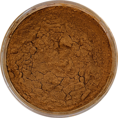 Chaga Mushroom Extract Powder – 30% Polysaccharides, 15:1 Dual Extract; wild-harvested Inonotus obliquus for immune support, antioxidant protection, and cellular vitality.