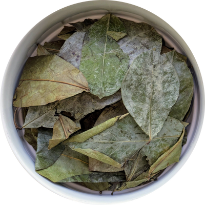 Dried Soursop leaves — deep green tropical botanical suitable for tea, culinary craft, and traditional use.