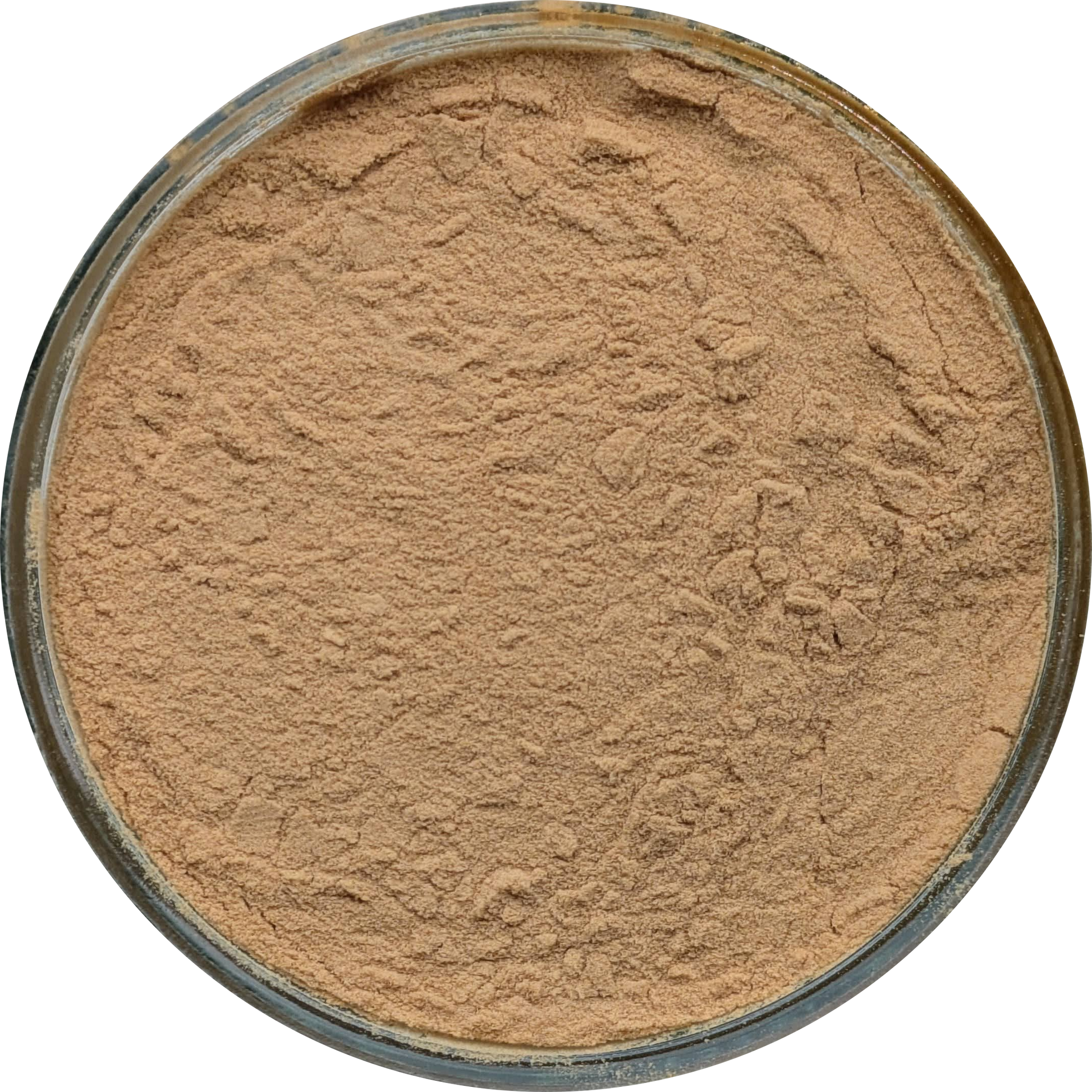 organic lions mane extract