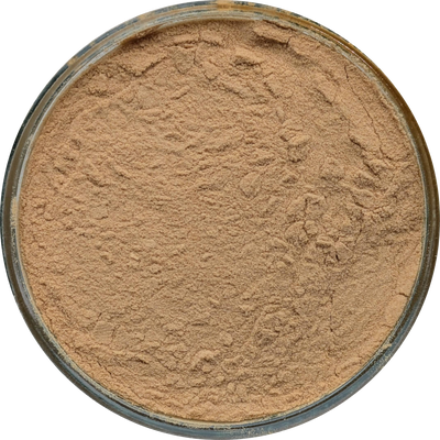 Organic Lion’s Mane Mushroom Extract powder — fruiting body