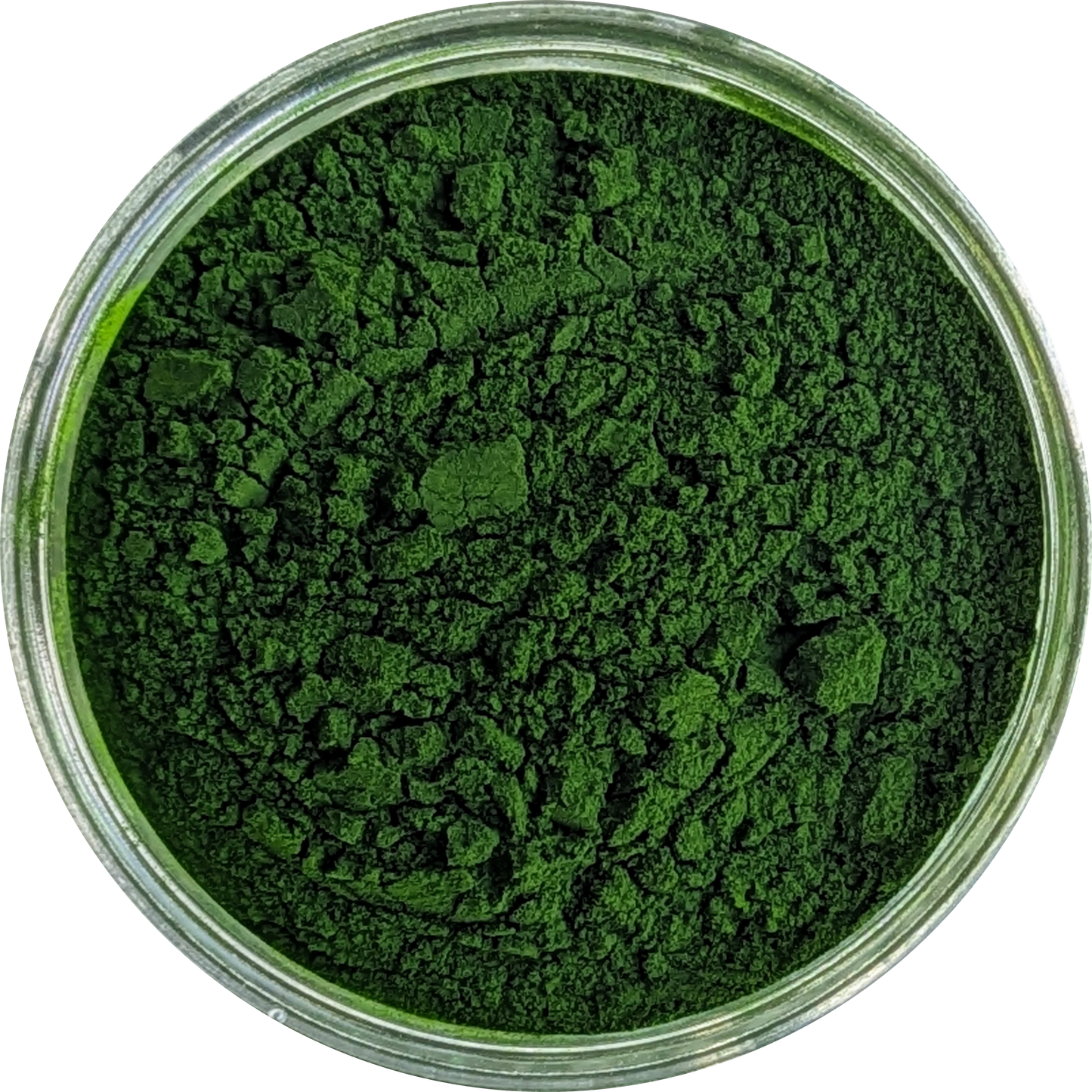 Organic Chlorella Powder – 10:1 extract of Chlorella vulgaris in eco pouch, inspired by Japanese wellness and algae traditions