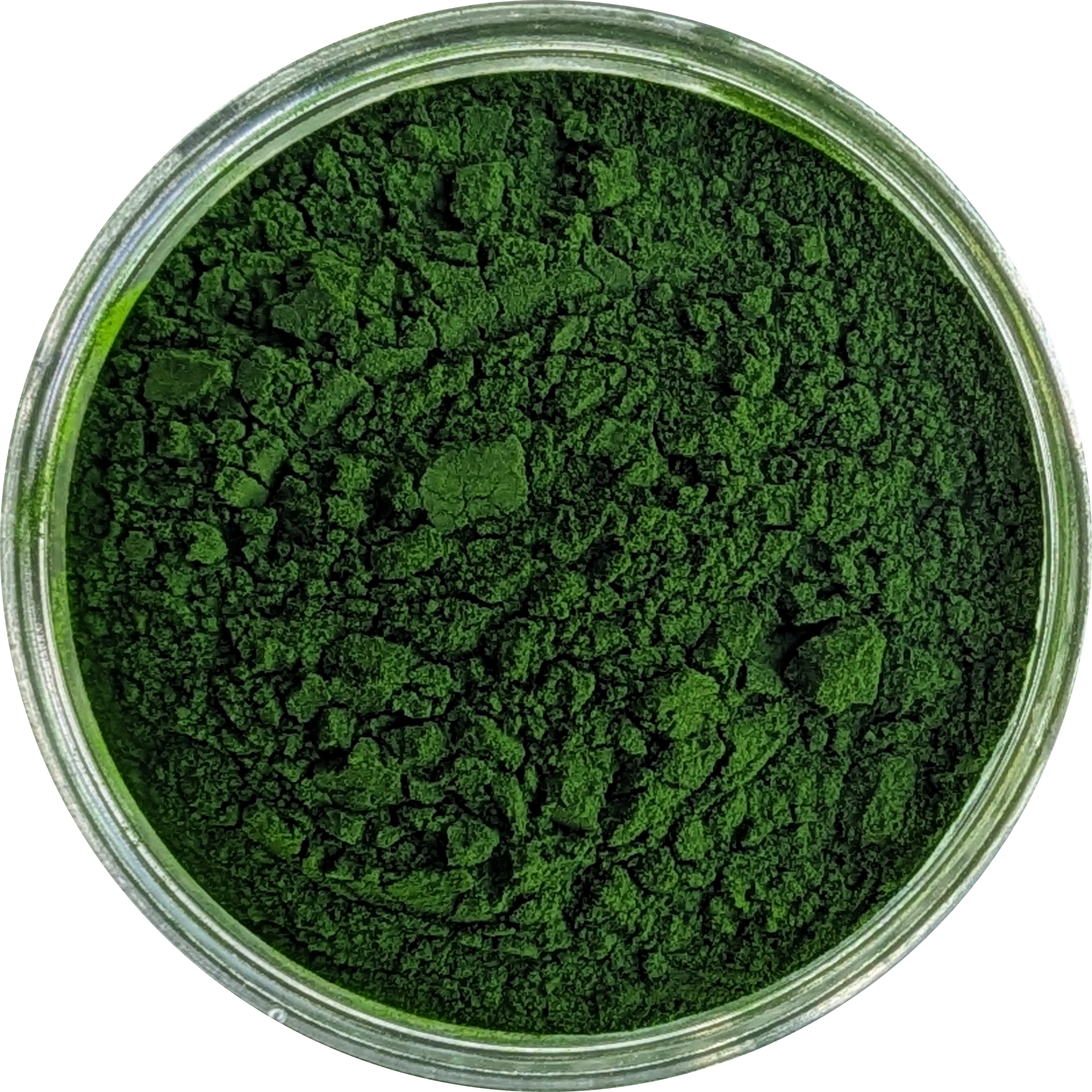 Organic Chlorella Powder – 10:1 extract of Chlorella vulgaris in eco pouch, inspired by Japanese wellness and algae traditions
