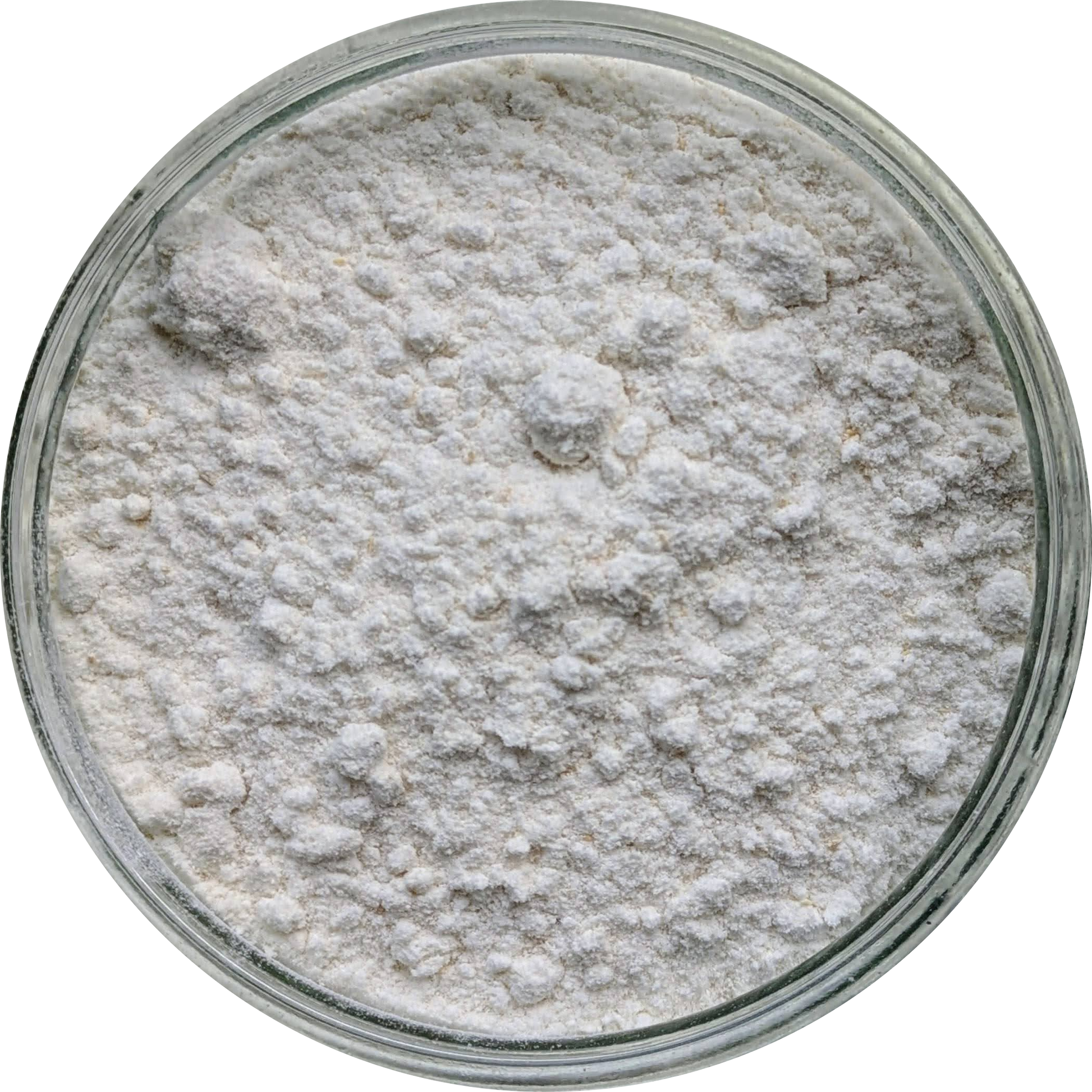 Synaptolepis kirkii Powder – finely milled African dream root, ethically sourced for ceremonial display and ritual use