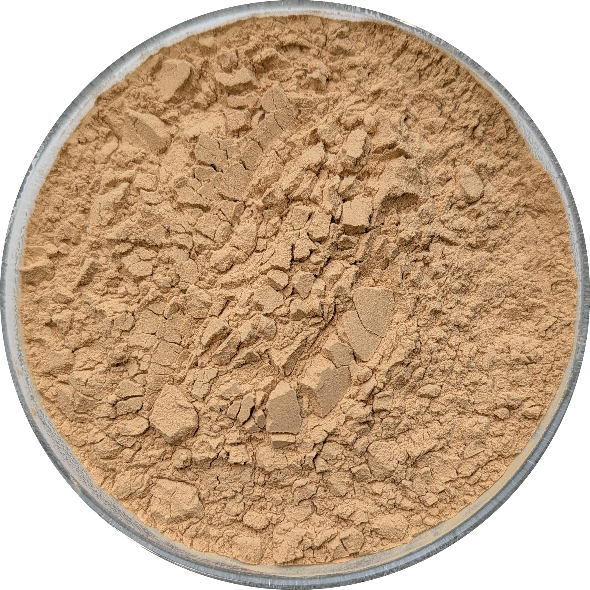 Ethically sourced Purslane extract displayed for nutritional and ceremonial practice