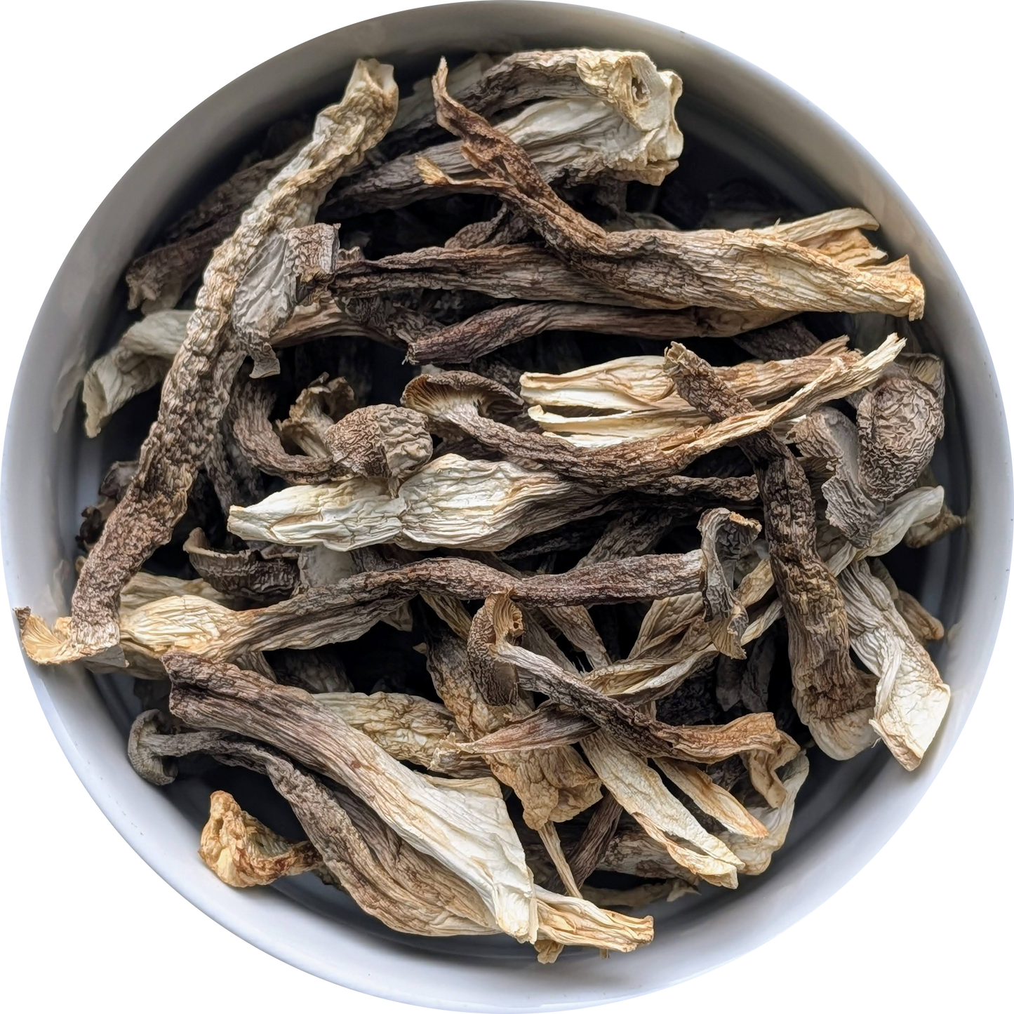 Lyophyllum decastes dried mushrooms sustainably harvested