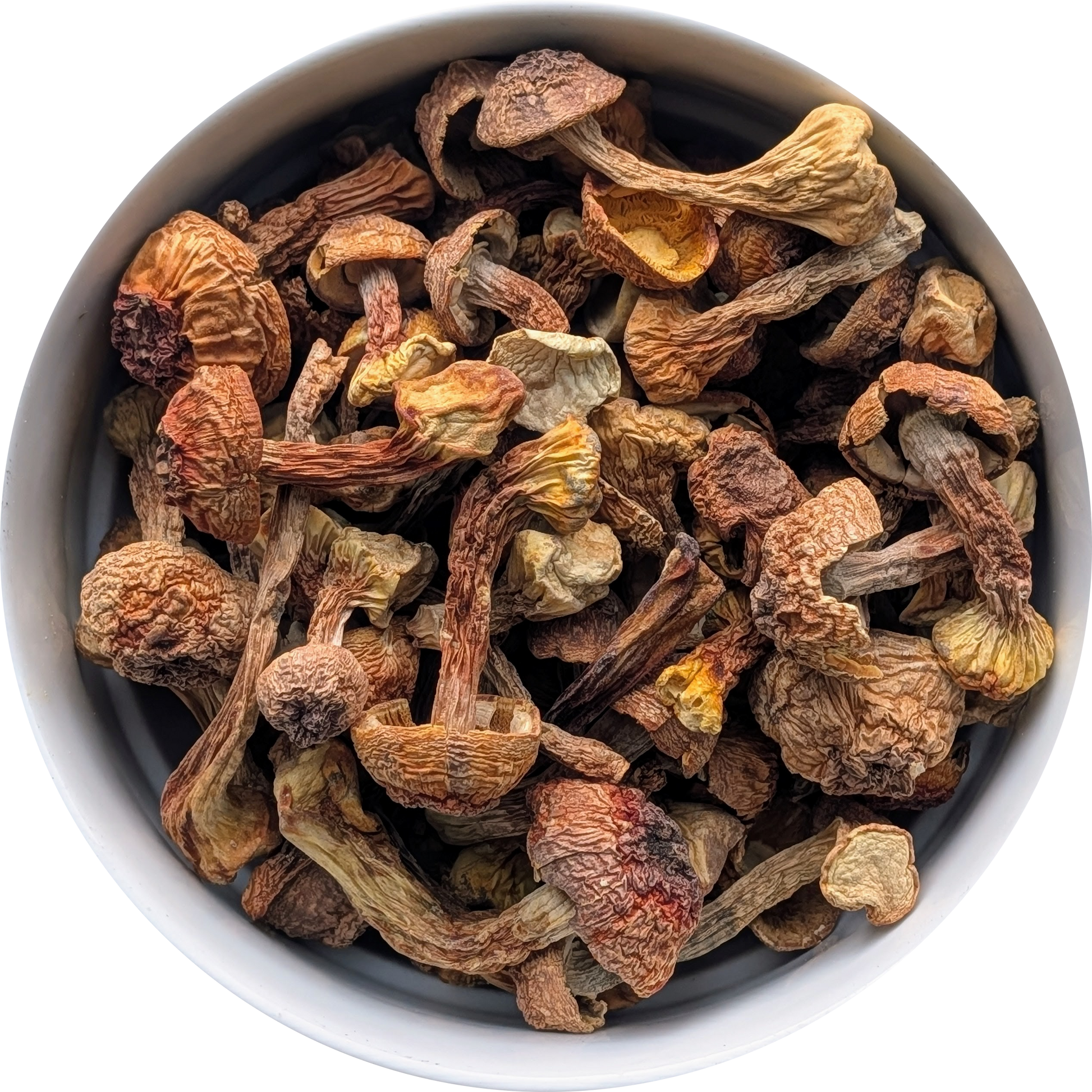 Whole dried Agaricus Blazei Murill mushrooms for culinary use