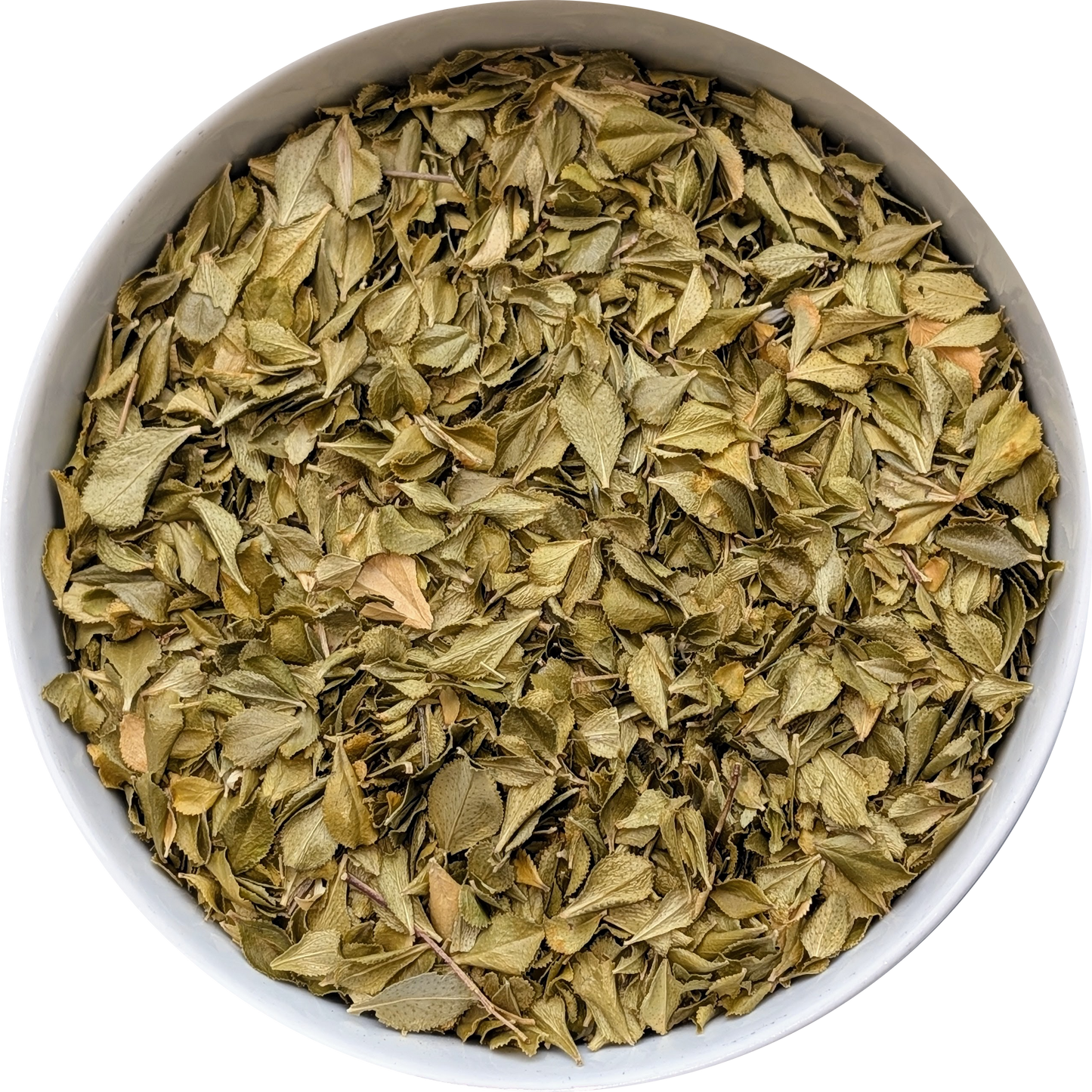 South African Buchu leaf infusion preparation
