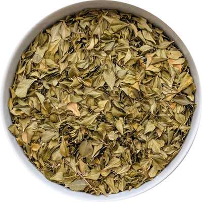 South African Buchu leaf infusion preparation