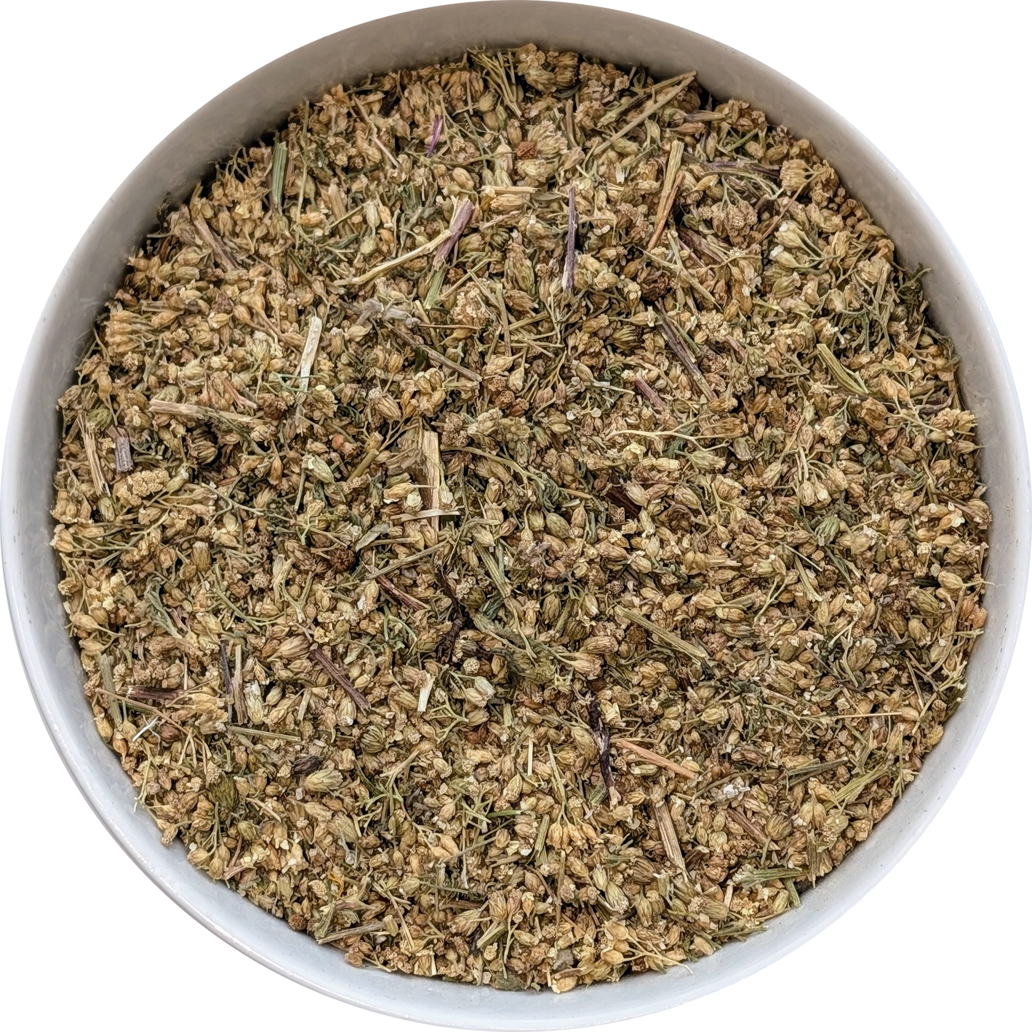 Achillea millefolium dried flowers for infusion