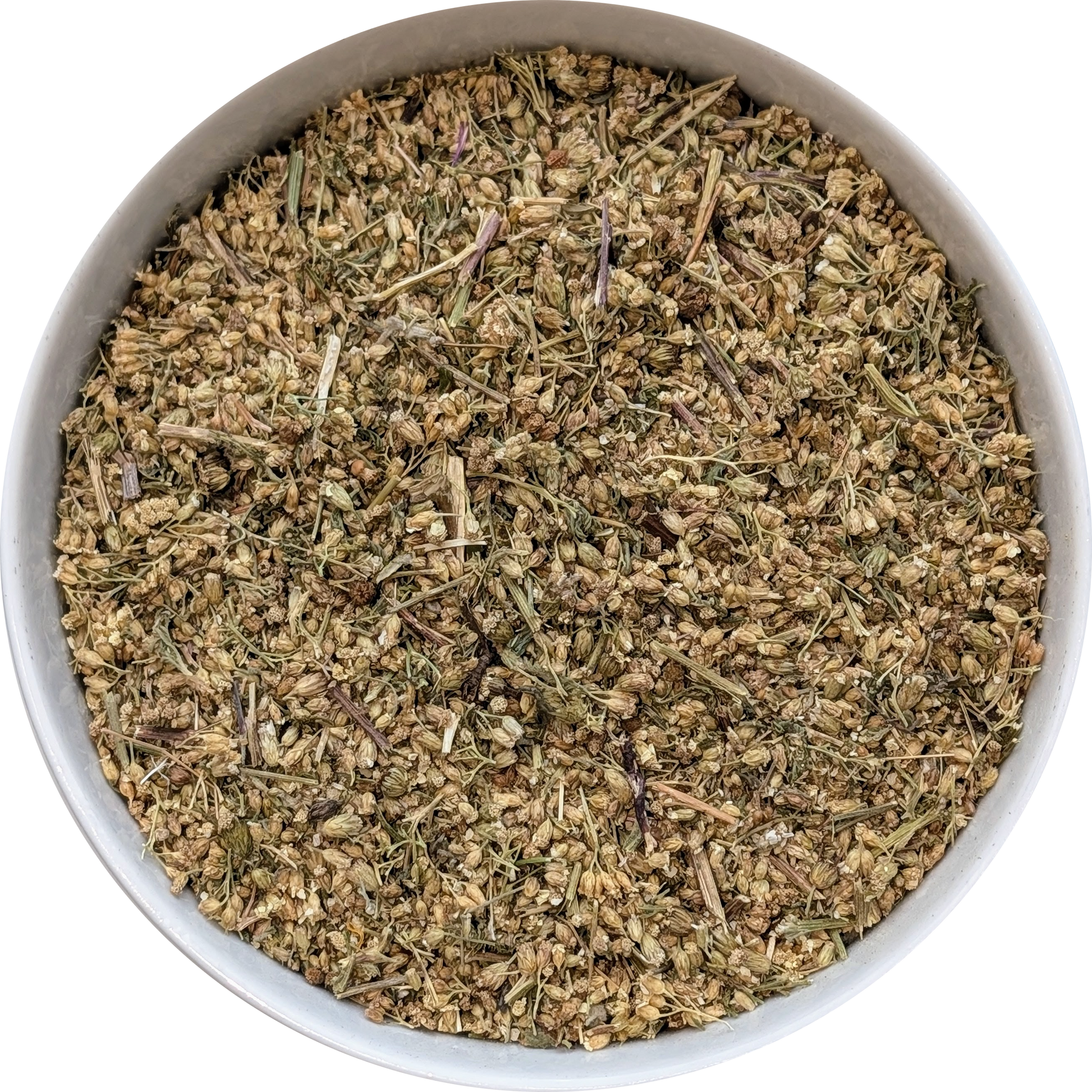 Achillea millefolium dried flowers for infusion