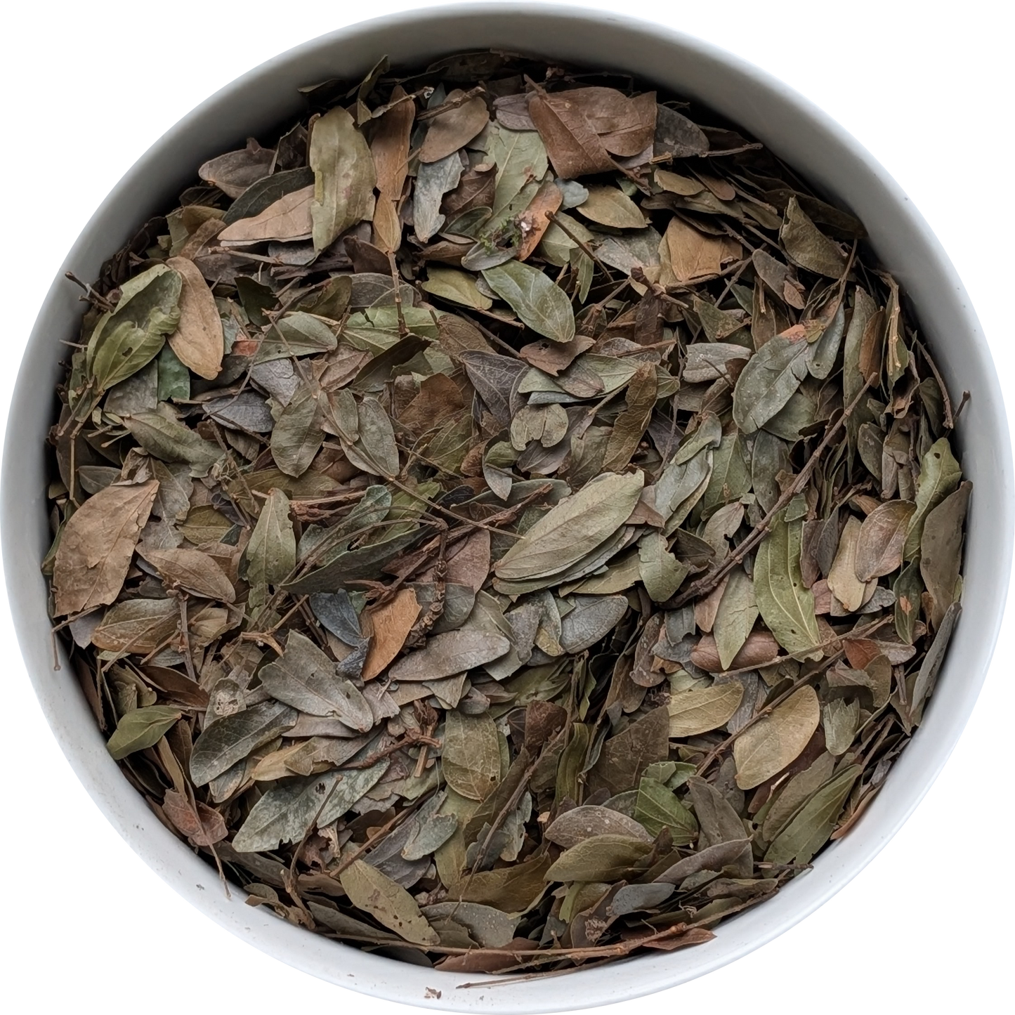 Calliandra angustifolia leaves sourced from the Amazon for spiritual practice Herbal Monkey