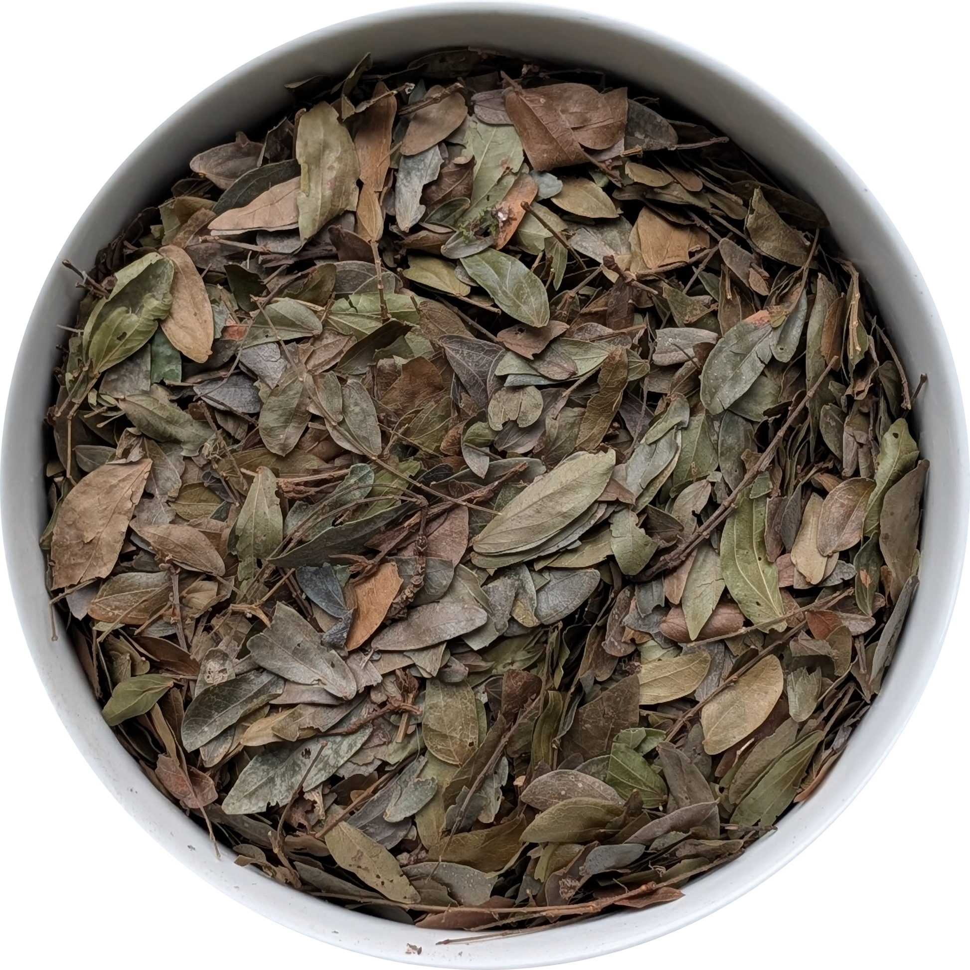 Calliandra angustifolia leaves sourced from the Amazon for spiritual practice Herbal Monkey