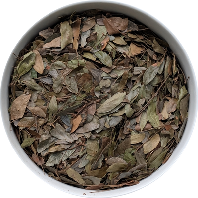 Calliandra angustifolia leaves sourced from the Amazon for spiritual practice