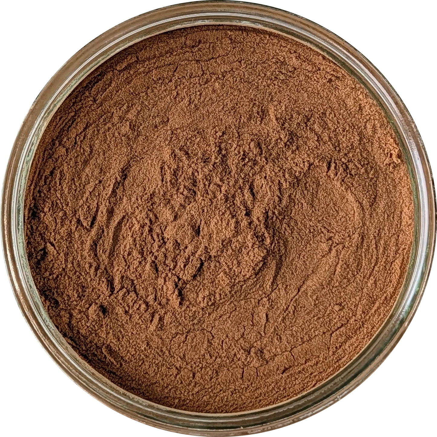 Bulbine natalensis 10:1 extract powder — fine light brown botanical powder suitable for human consumption and natural supplementation Herbal Monkey