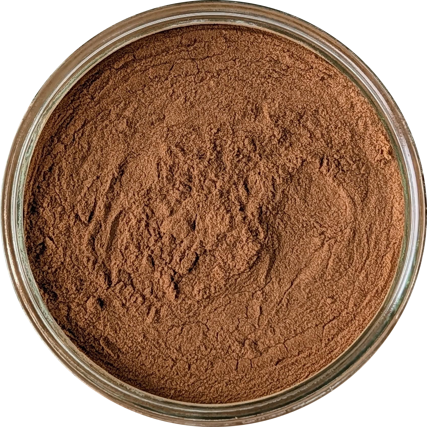 Bulbine natalensis 10:1 extract powder — fine light brown botanical powder suitable for human consumption and natural supplementation Herbal Monkey