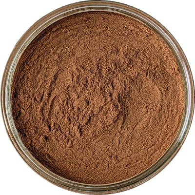 Bulbine natalensis 10:1 extract powder — fine light brown botanical powder suitable for human consumption and natural supplementation